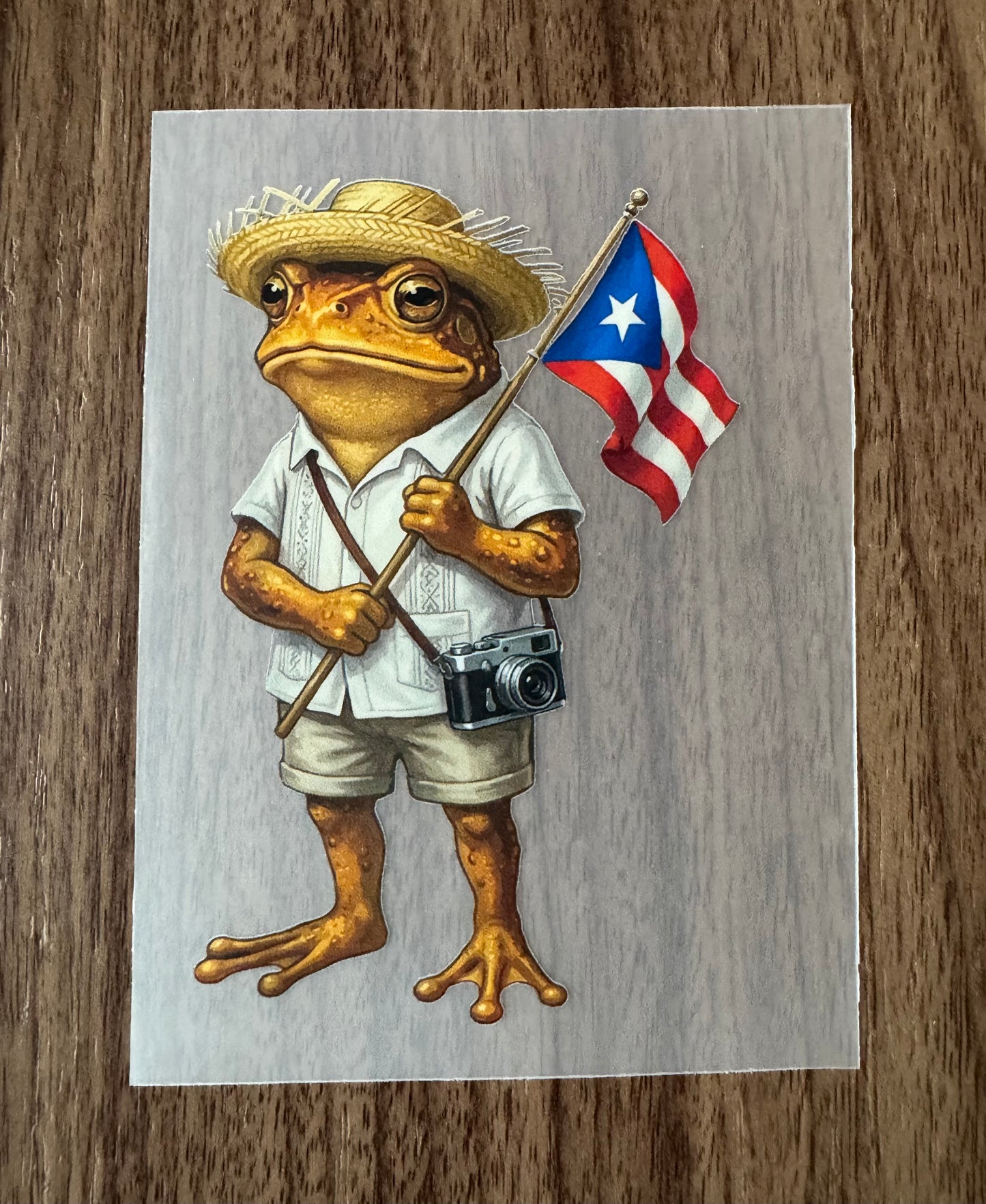 Puerto Rico Frog Transfer