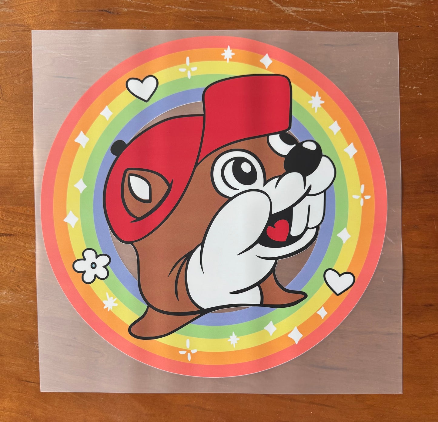 Rainbow Beaver Transfer