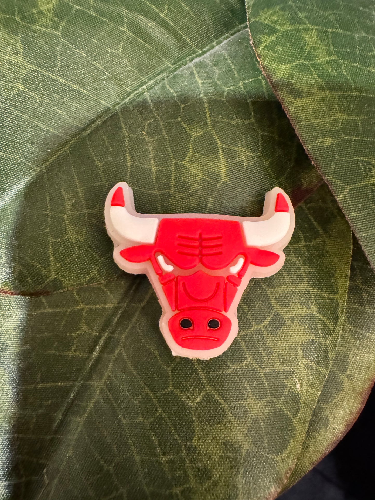 Chicago Basketball Focal