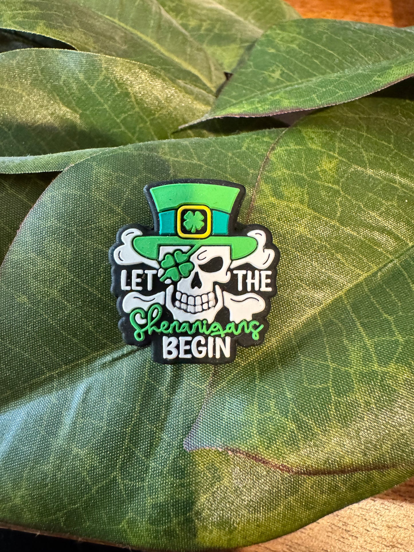 Shenanigans Begin Focal