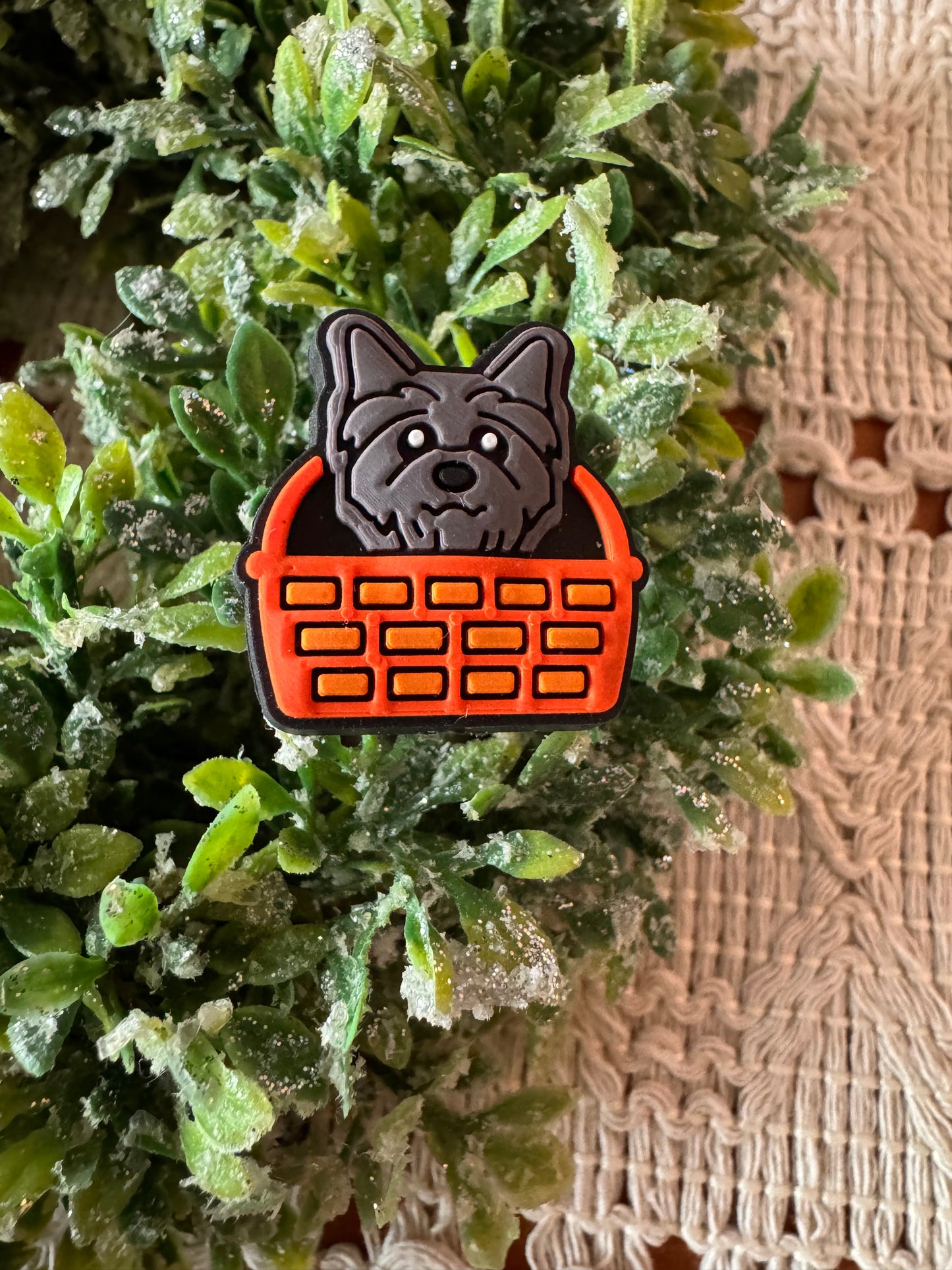 Wizard Dog Focal