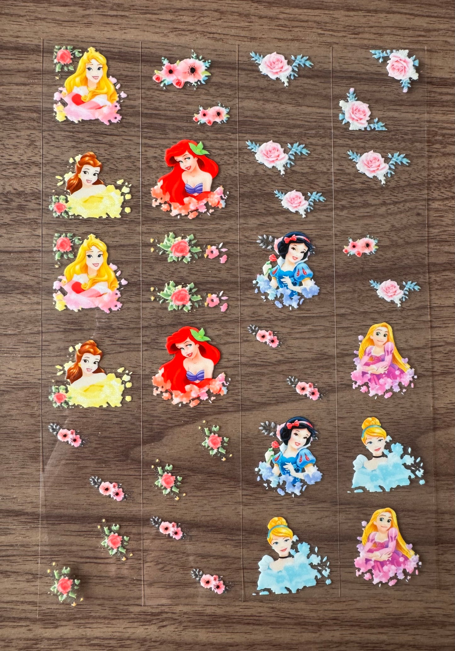 All the Princesses Sheet