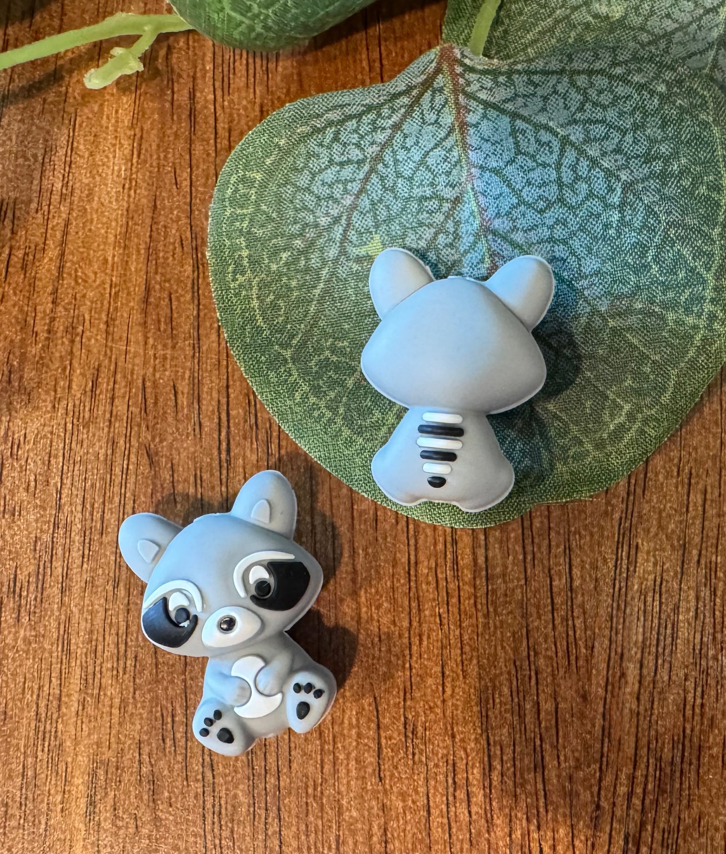 Raccoon Focal (3-D)