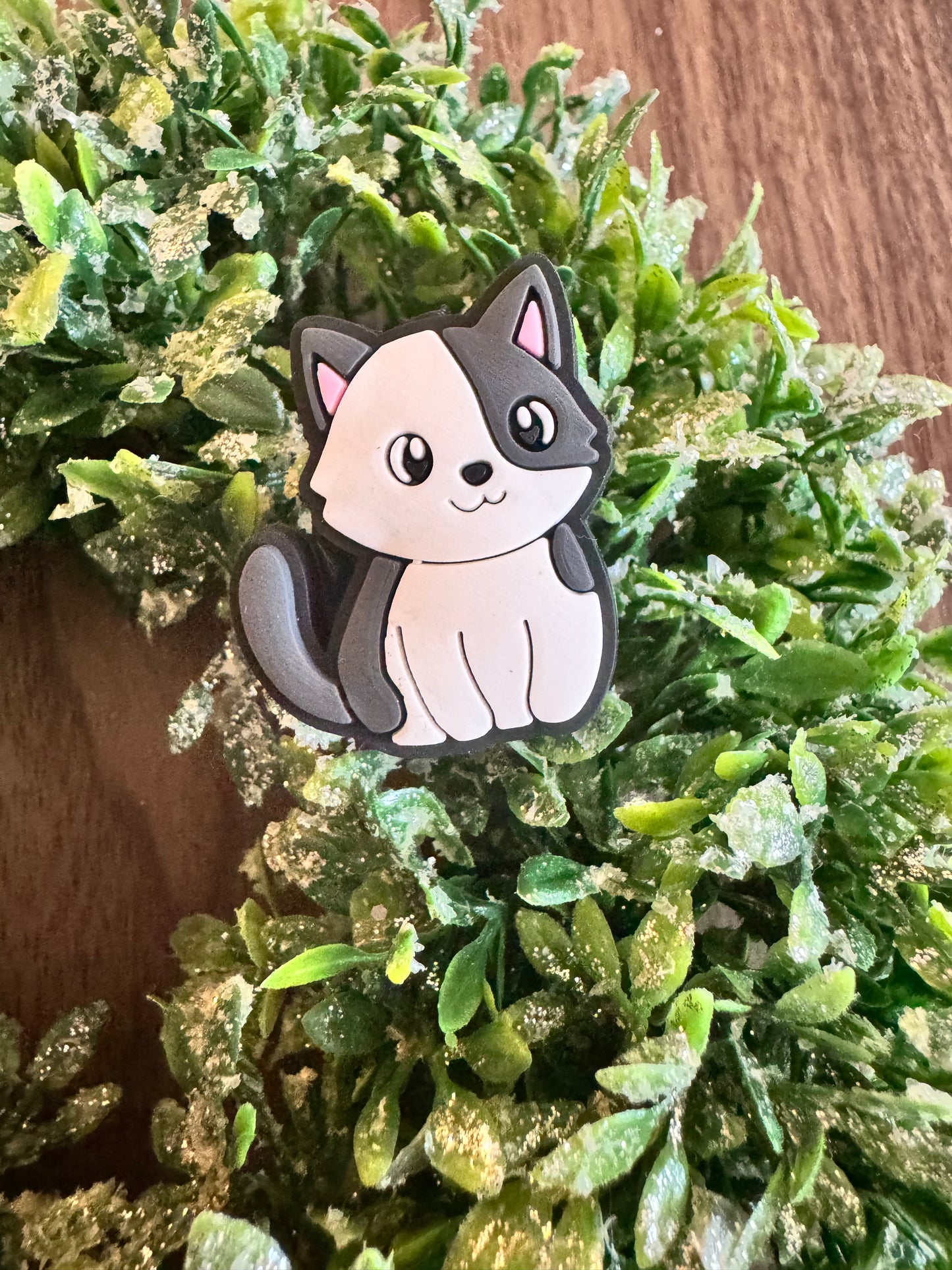 Grey and White Cat Focal