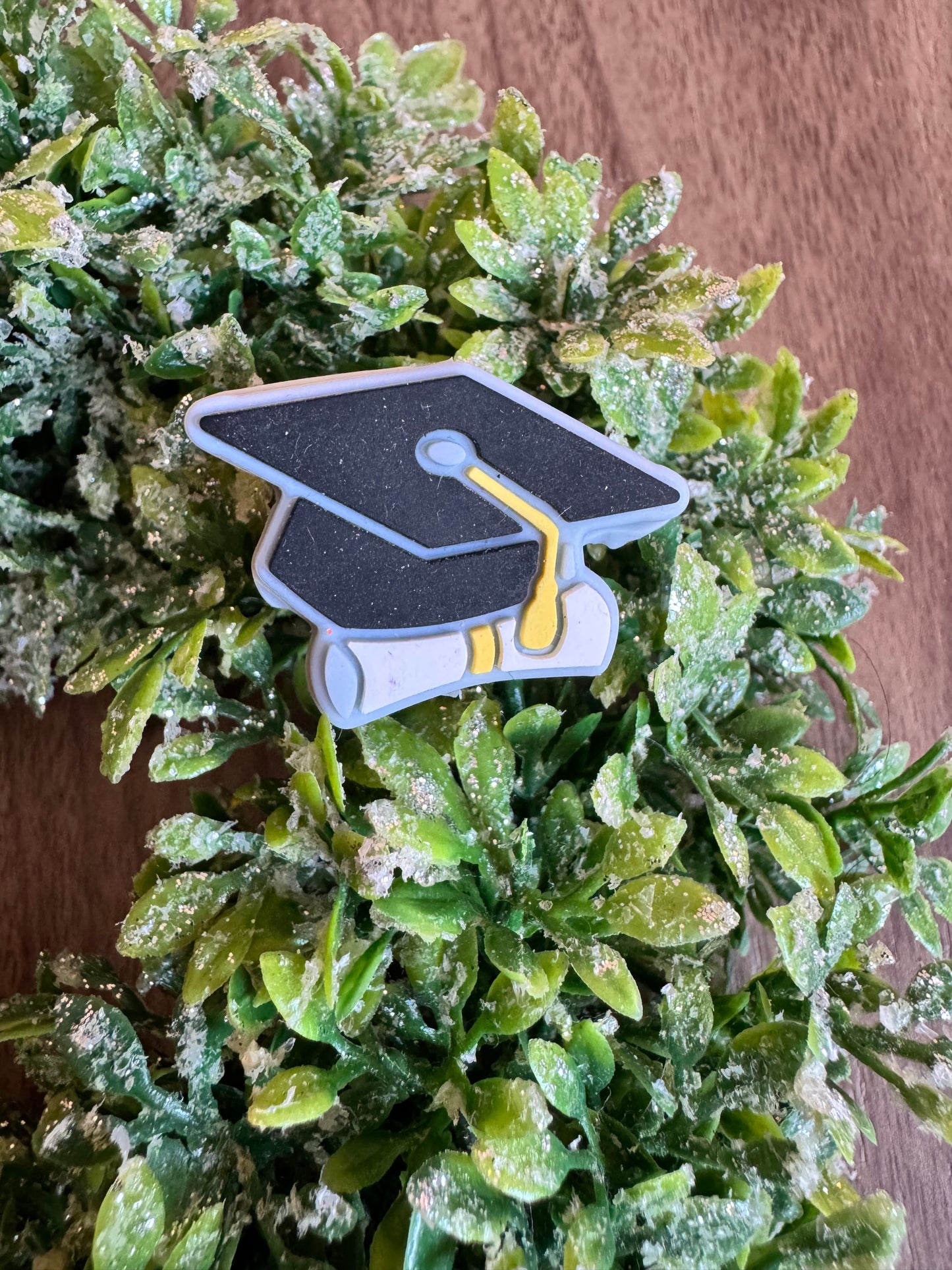 Graduation Gap Focal