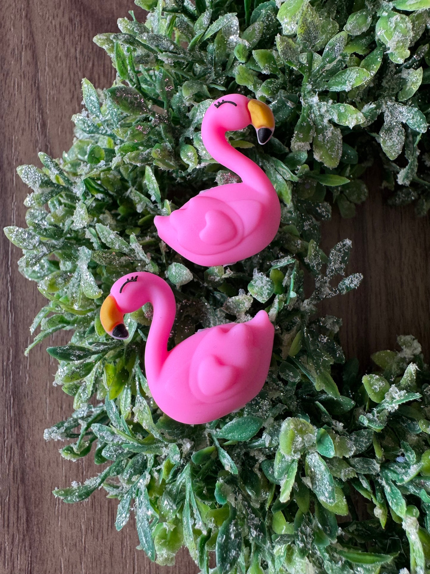 Flamingo Focal (3-D)