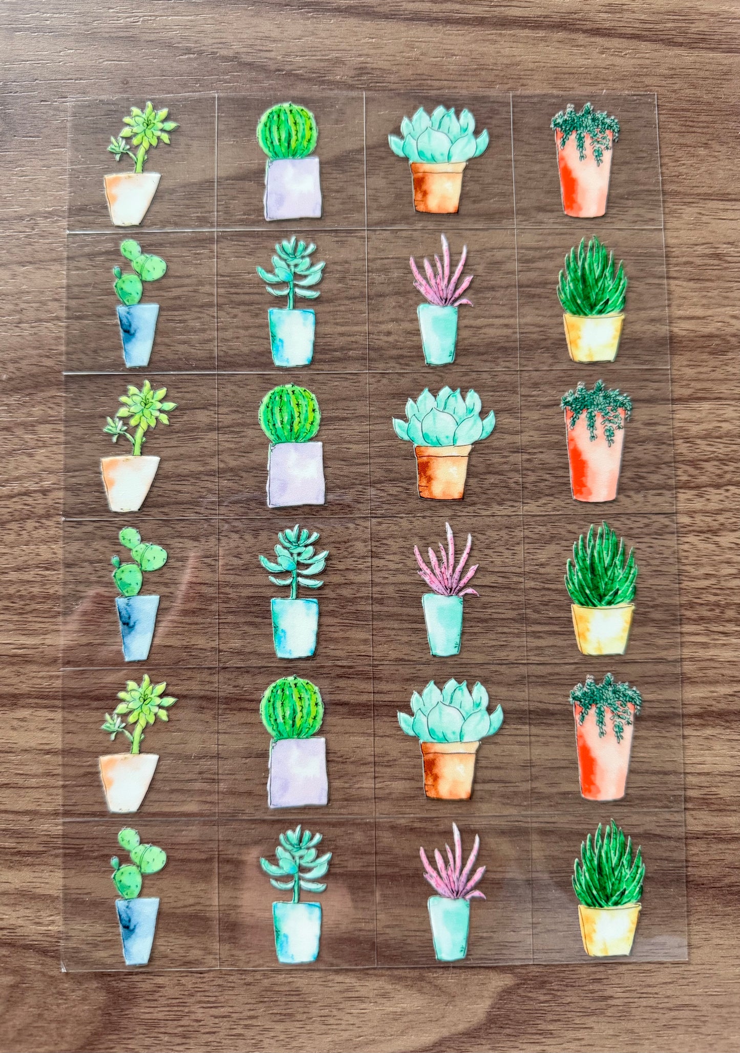 Cute Succulents Sheet