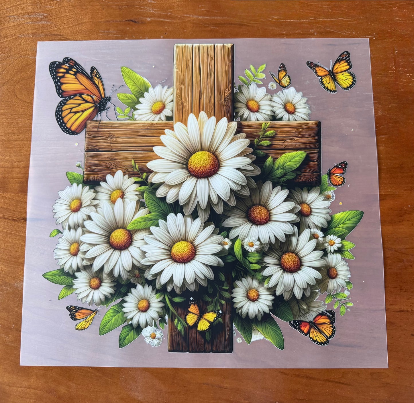 Daisy Cross Transfer