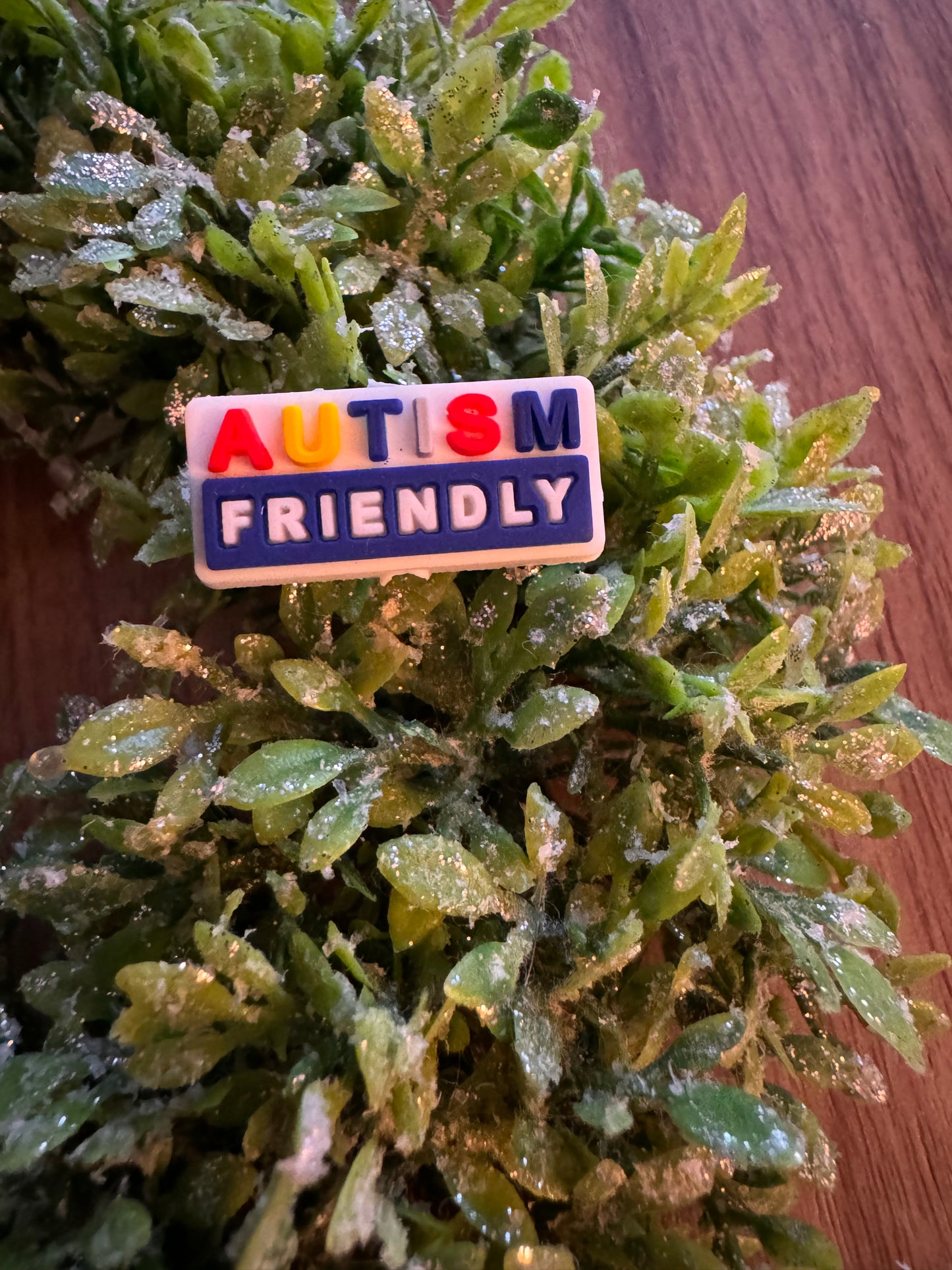 Autism Friendly Focal