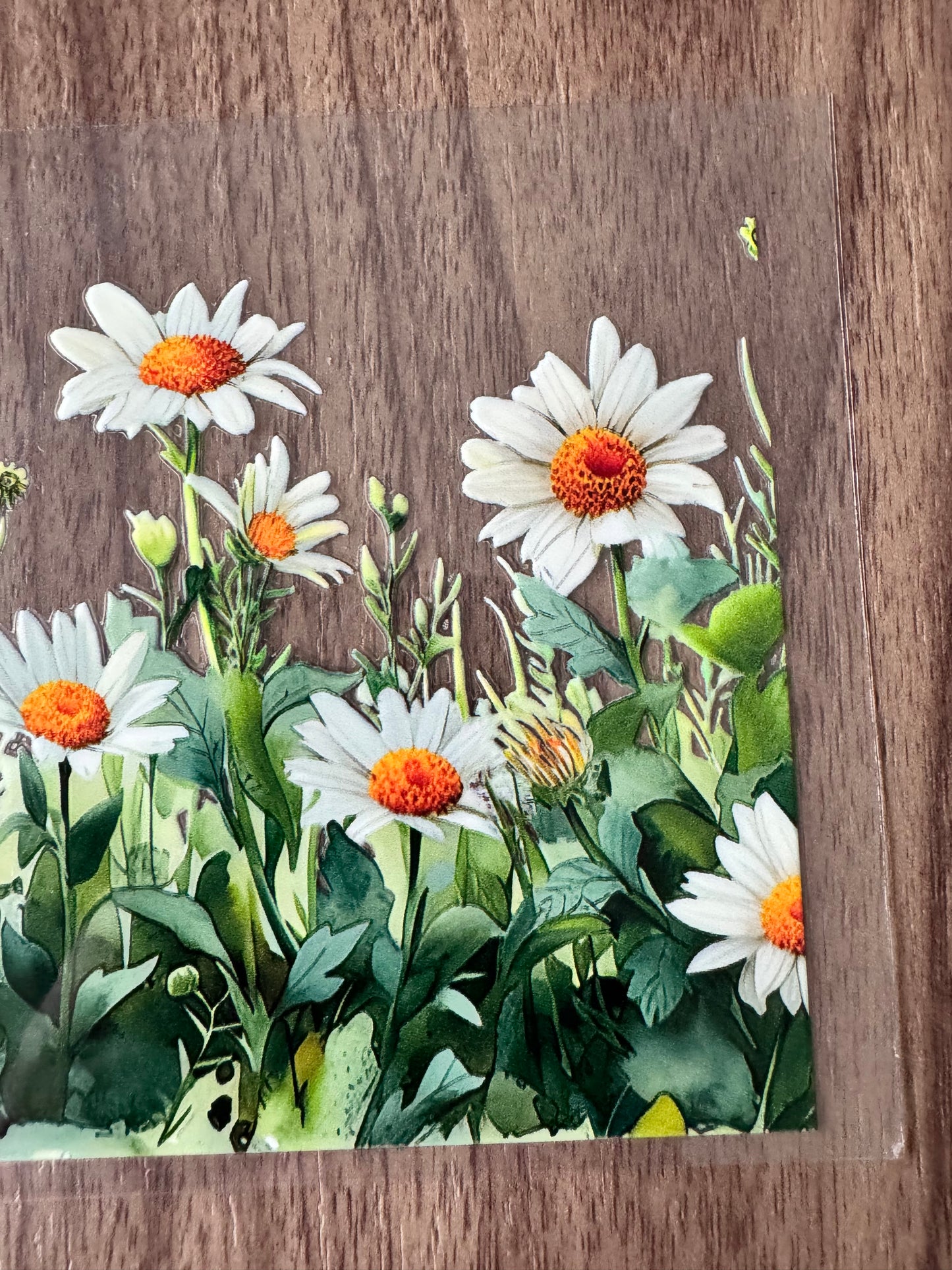 Wild Daises Cup Wrap