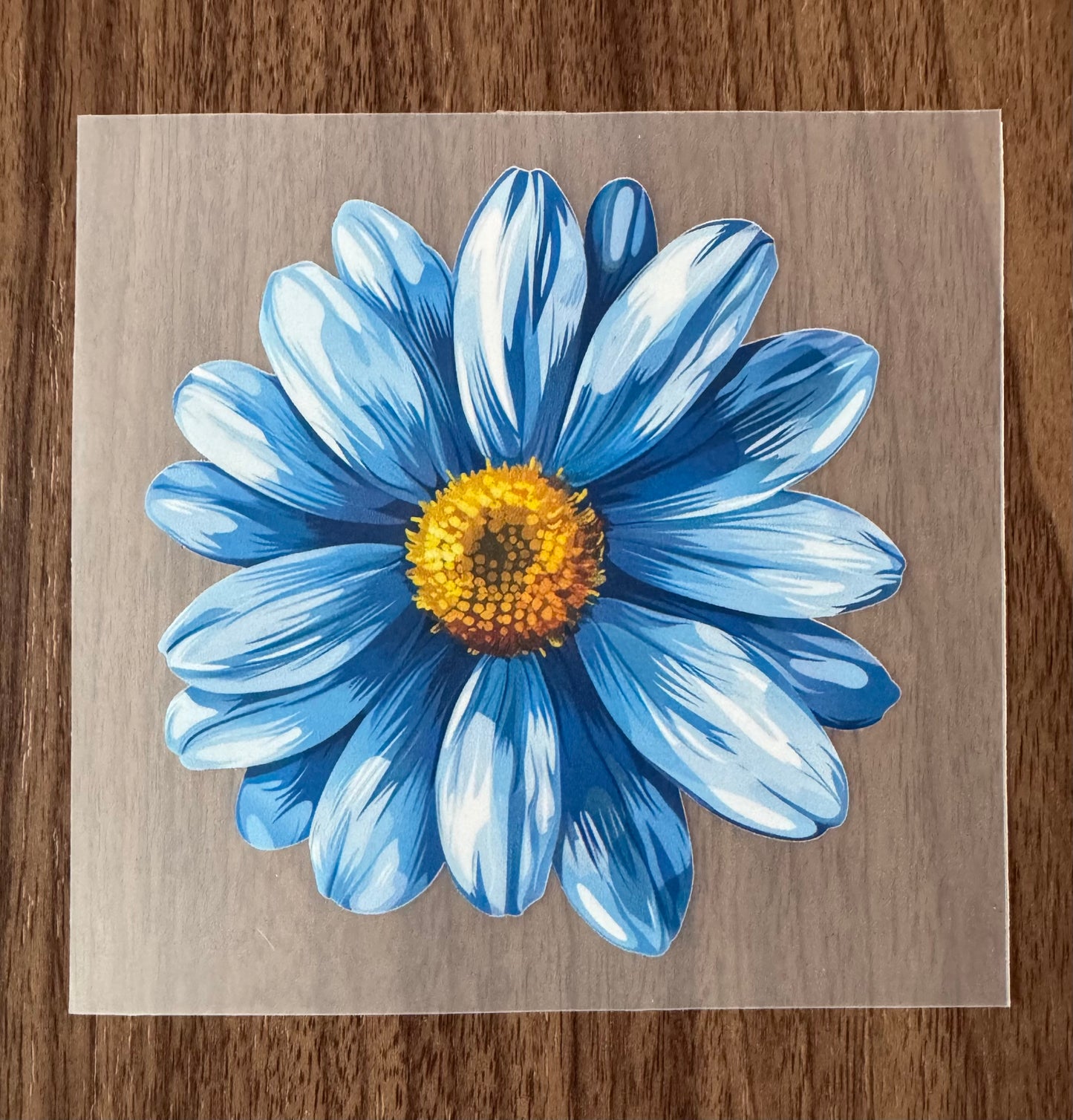 Blue Flower Transfer
