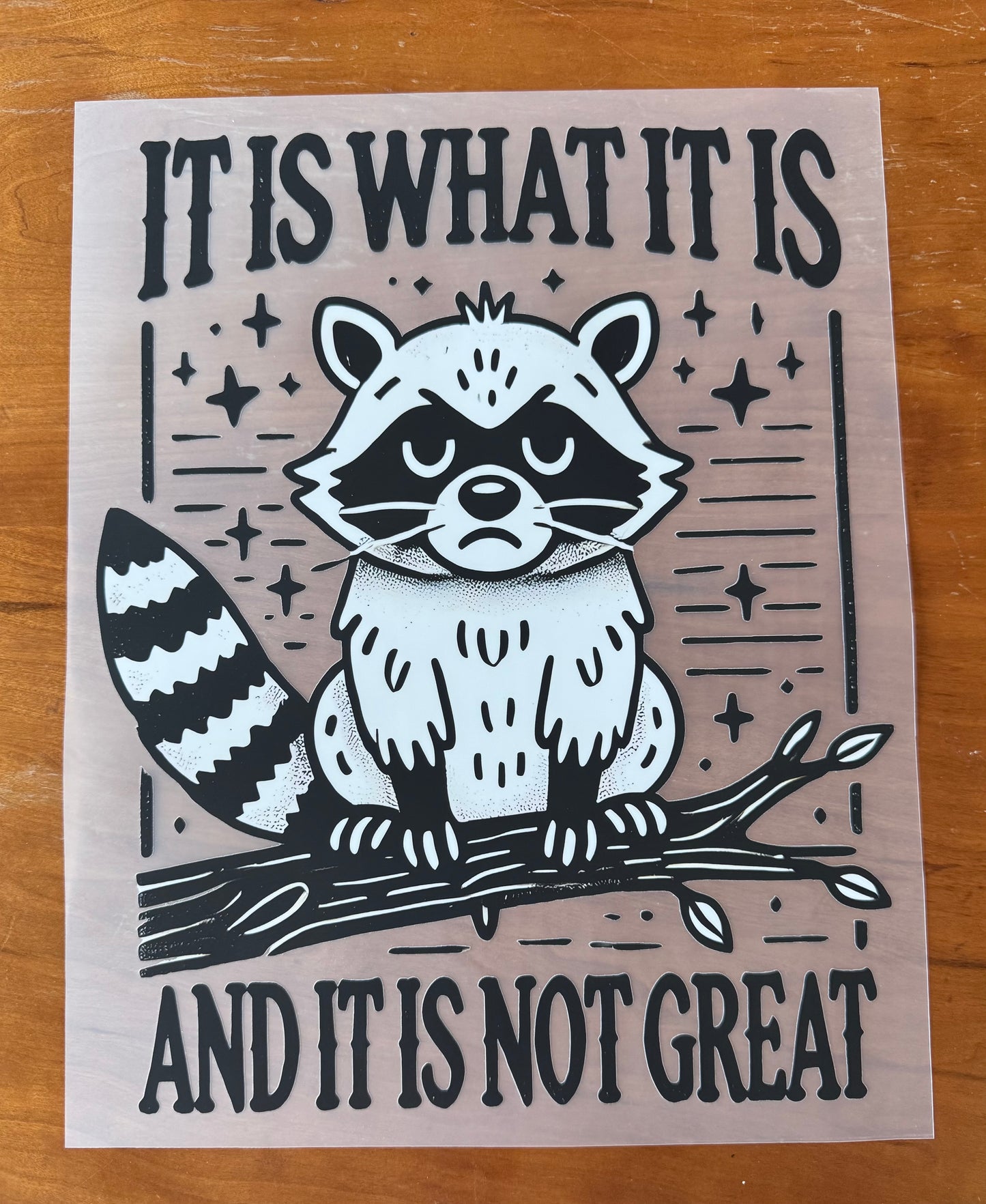 Not Great Raccoon Transfer