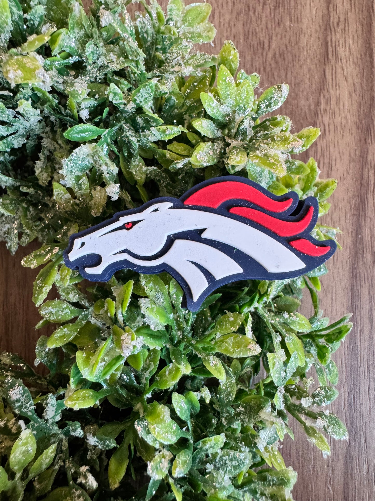 Denver Football Focal