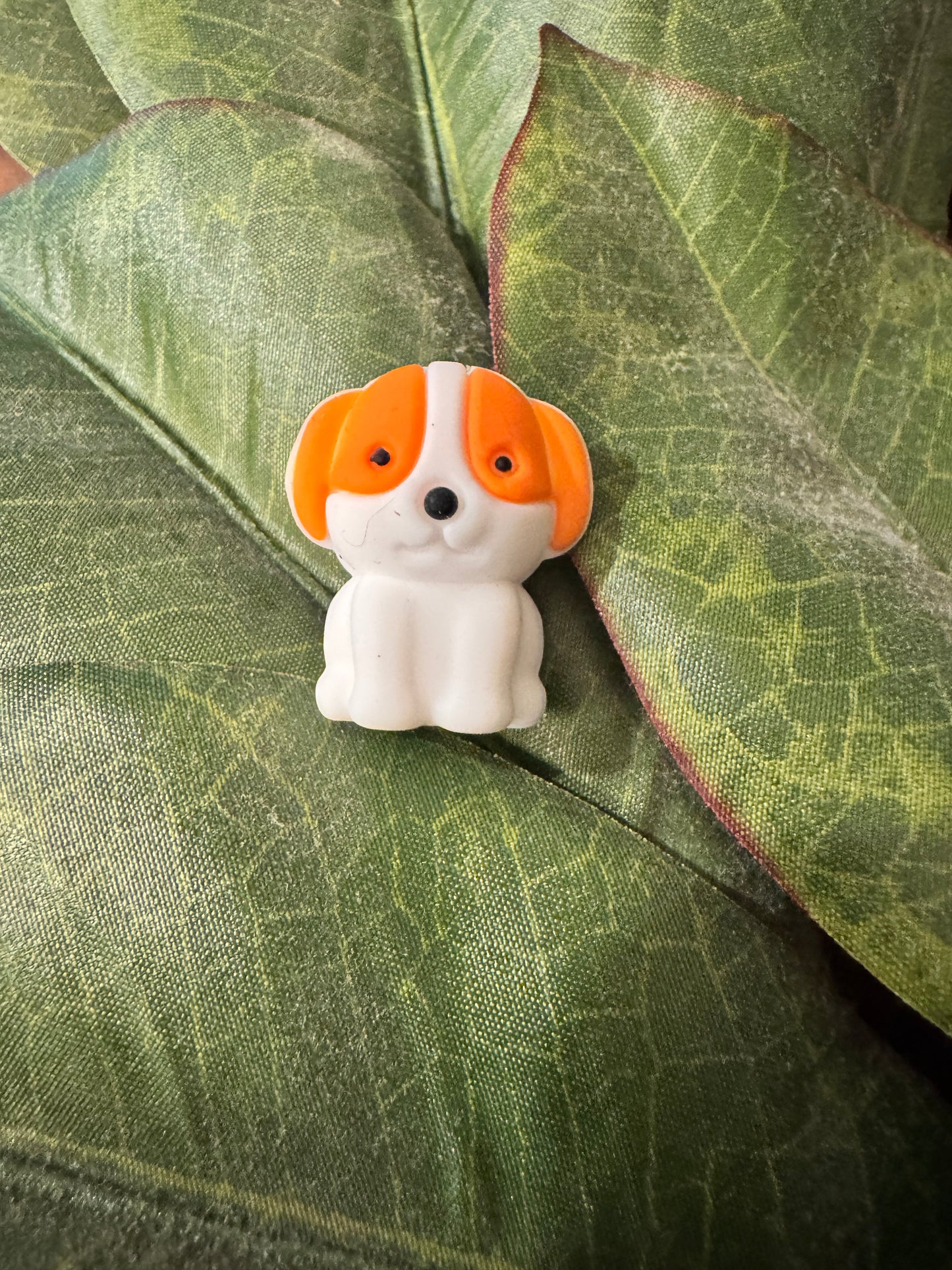 Orange Dog Focal (3-D)