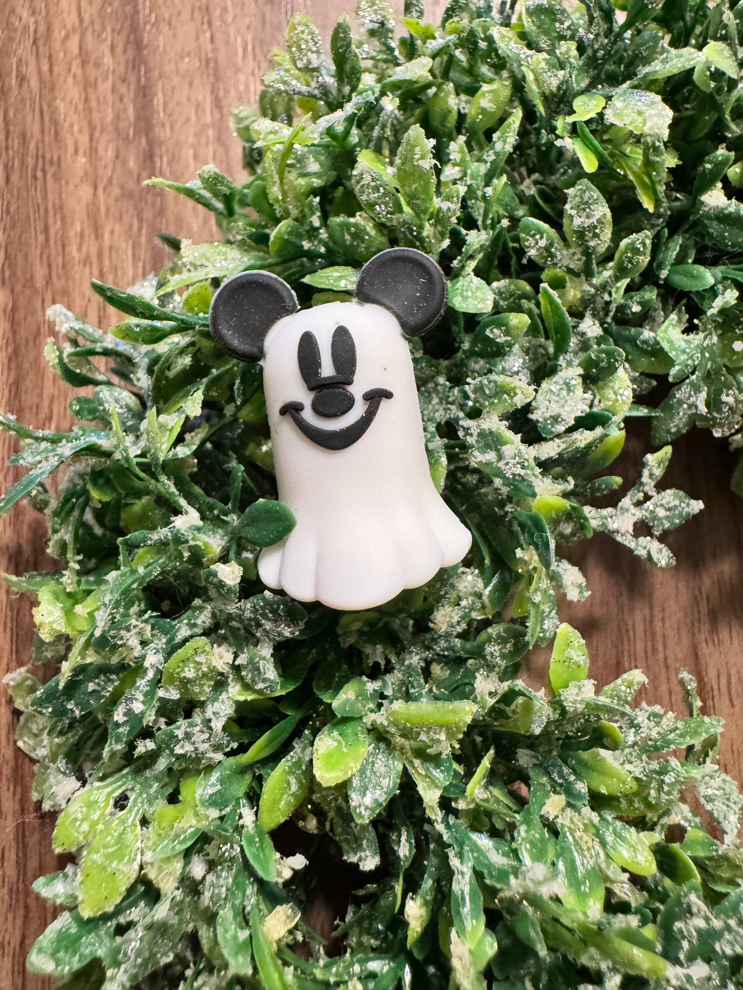 Mouse Ghost Focal (3-D)