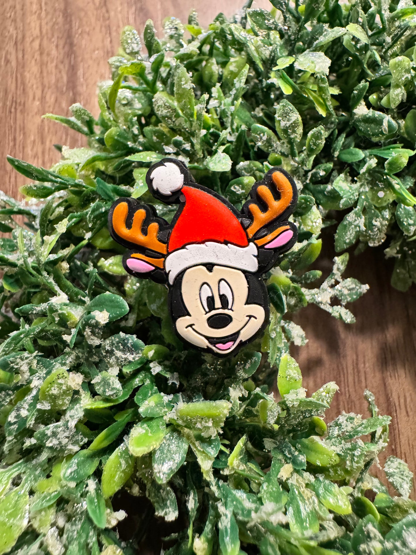 Reindeer Mouse Focal