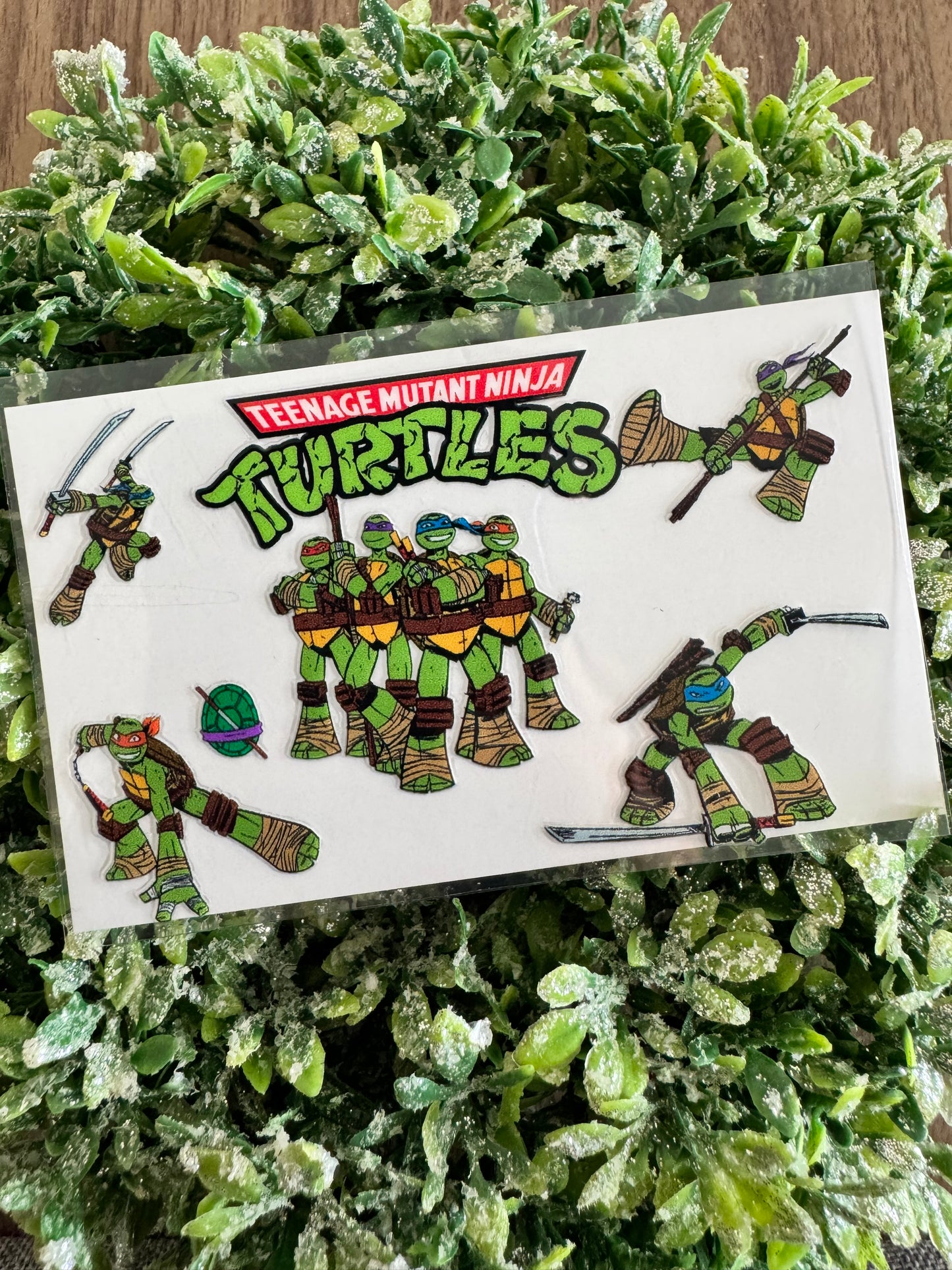 Karate Turtles Card Wrap