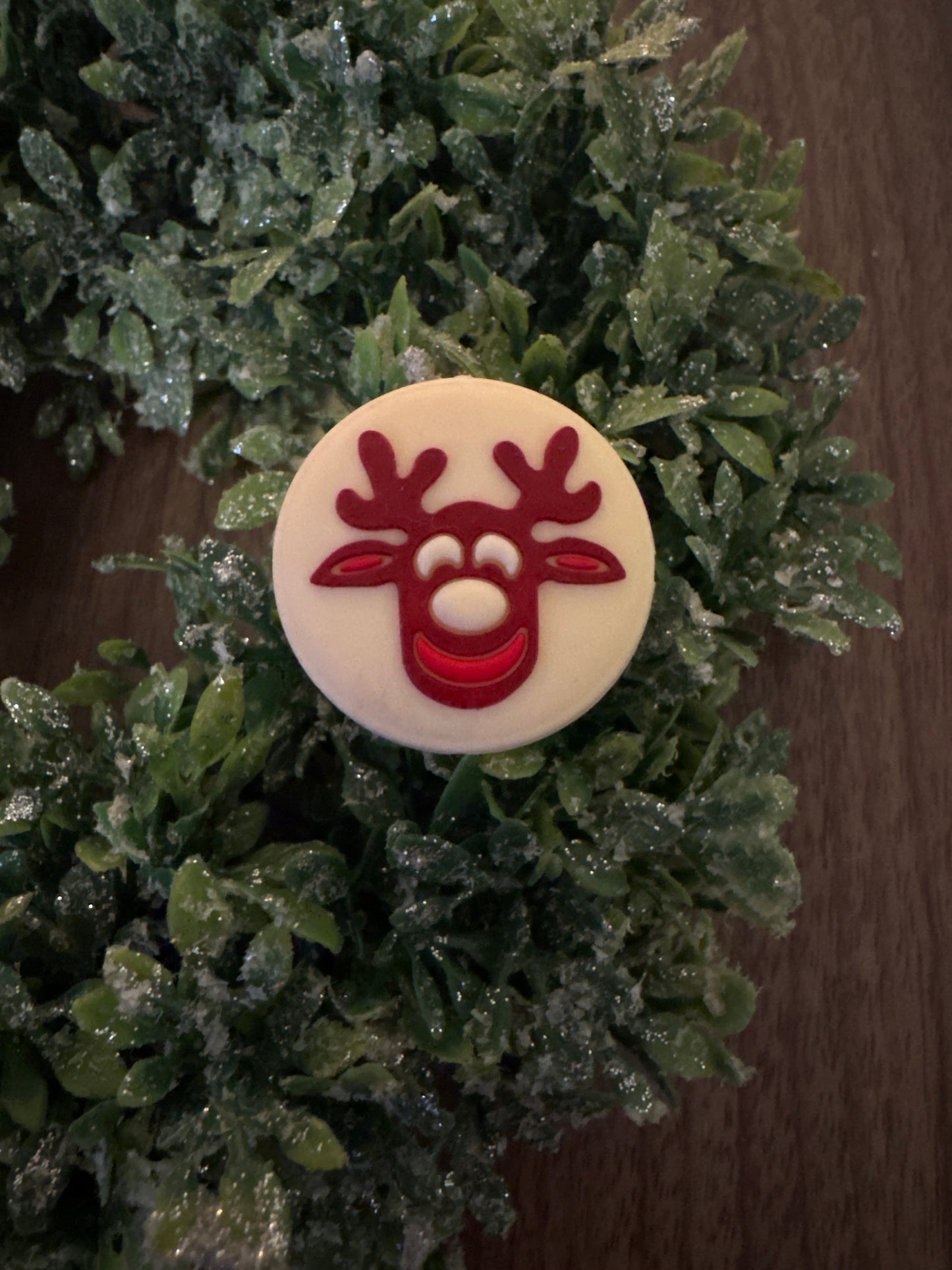 Reindeer Cookie Focal