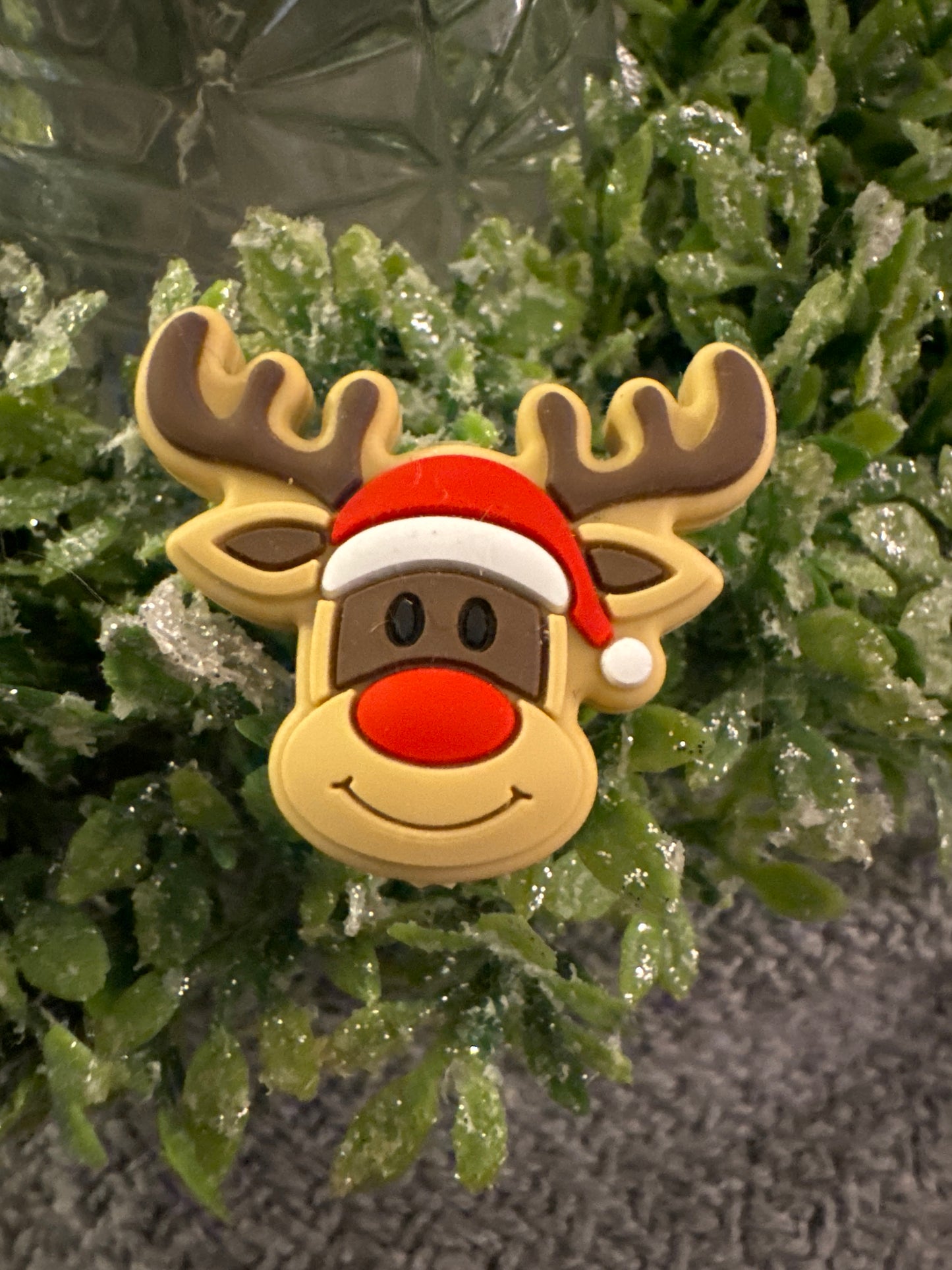 Reindeer Focal