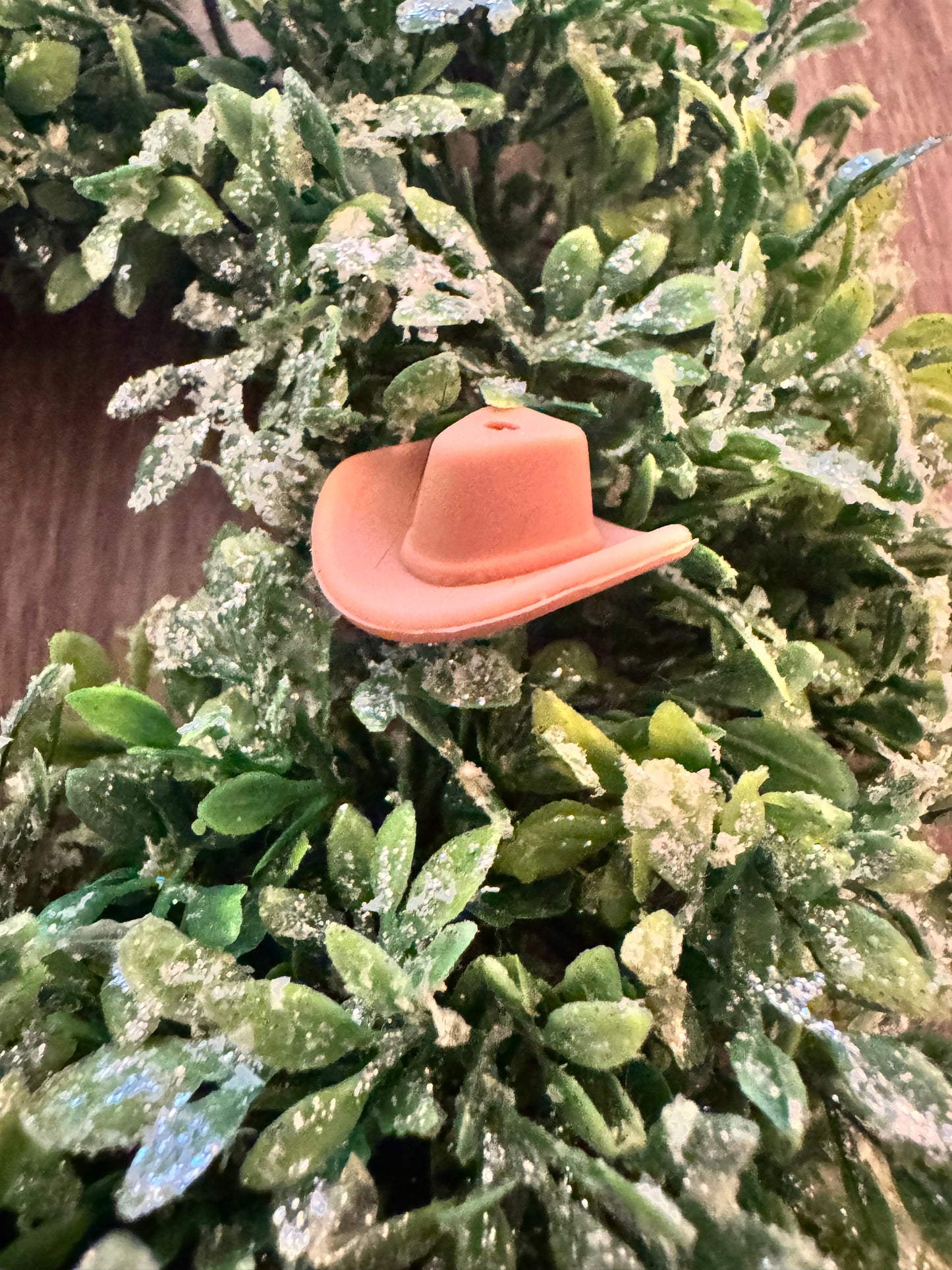 Tan Cowboy Hat Focal