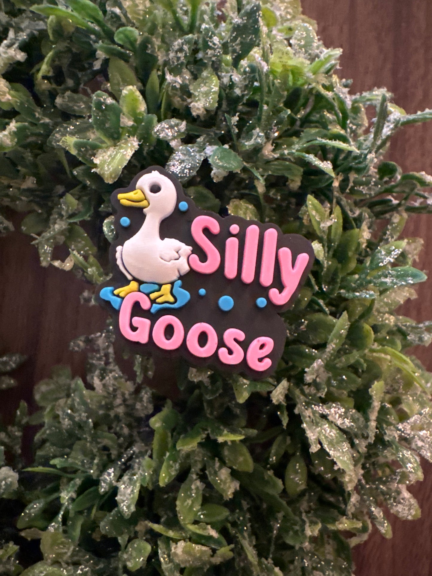 Silly Goose Focal