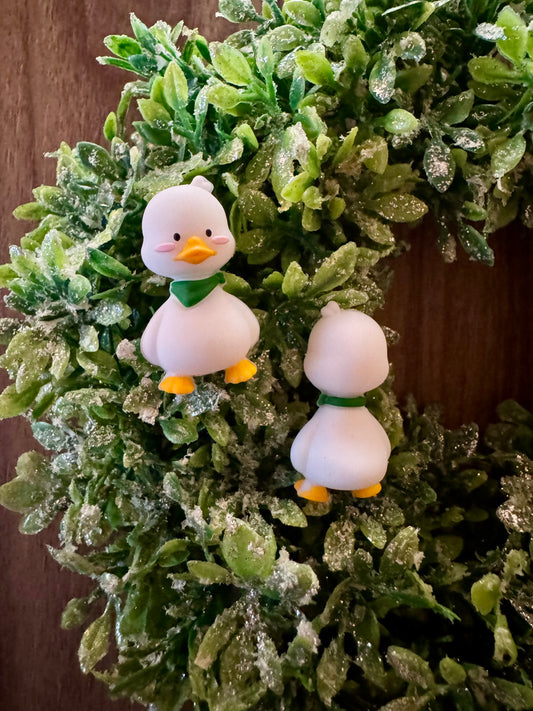 Cute Duck Focal (3-D)