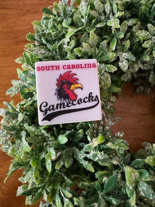 South Carolina Chicken Focal