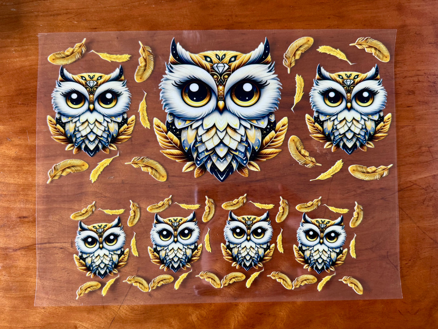 Cute Owl Cup Wrap