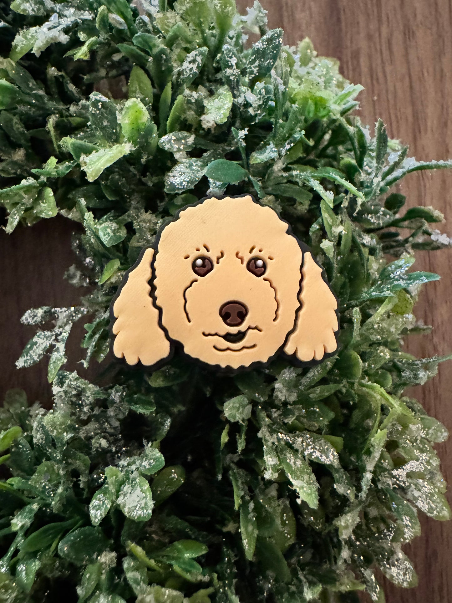 Golden-doodle Focal