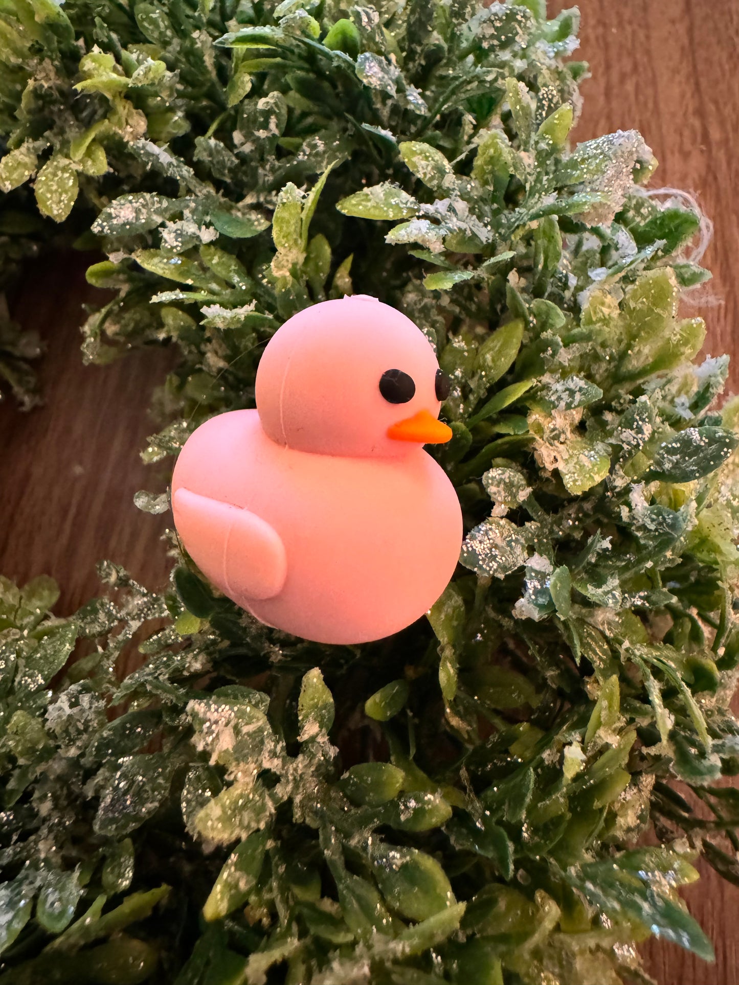 Pink Duck Focal (3-D)