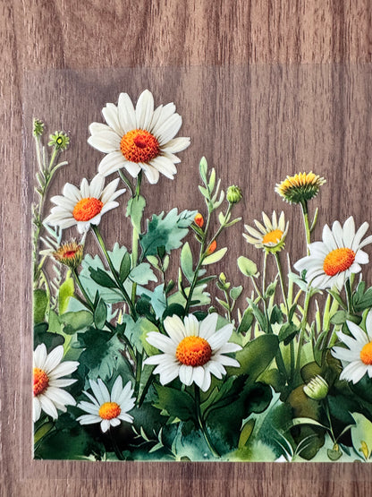 Wild Daises Cup Wrap