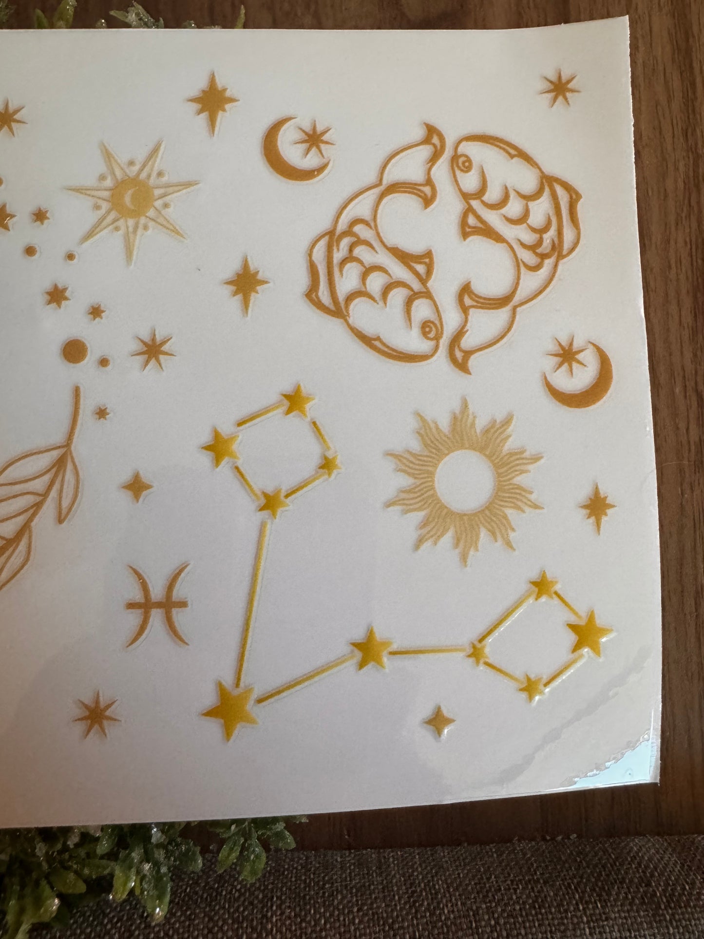 Pieces Zodiac Cup Wrap