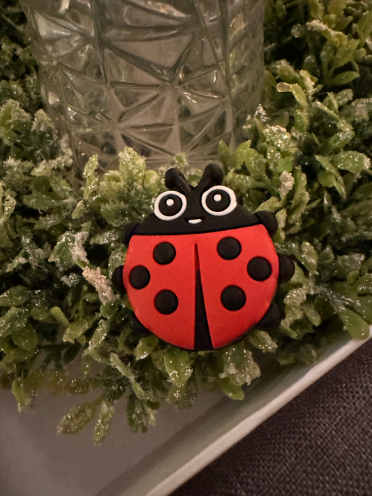 Lady Bug Focal