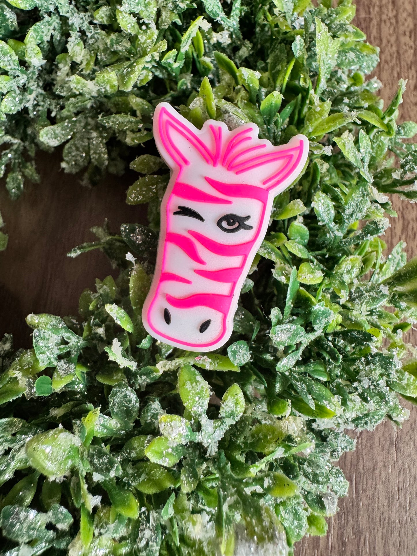 Pink Zebra Focal