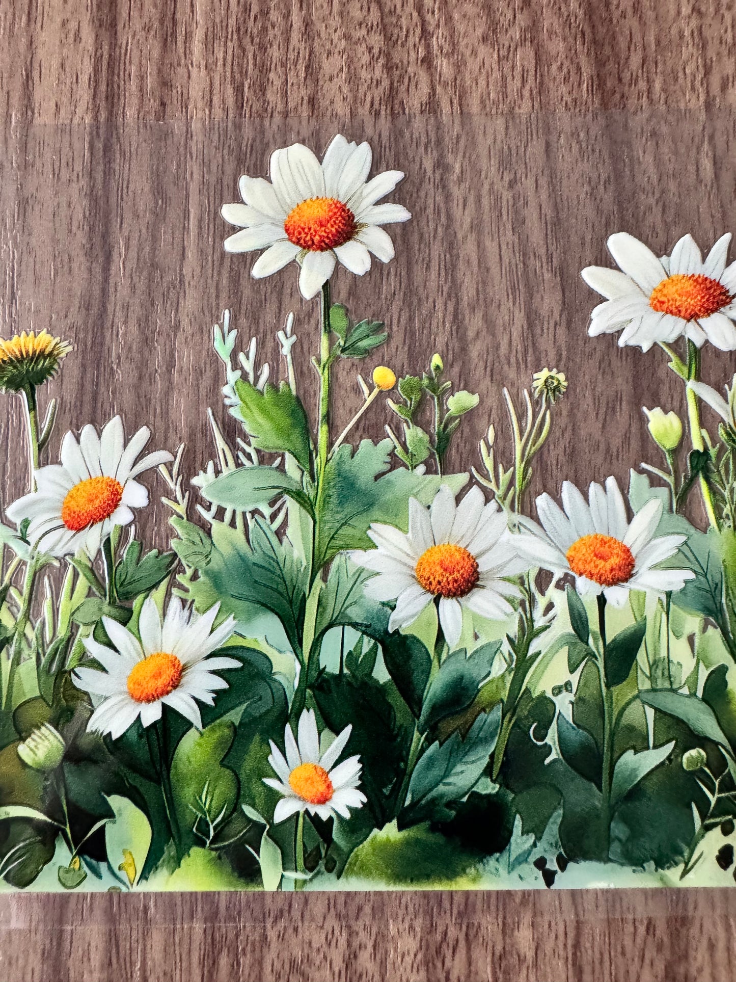 Wild Daises Cup Wrap