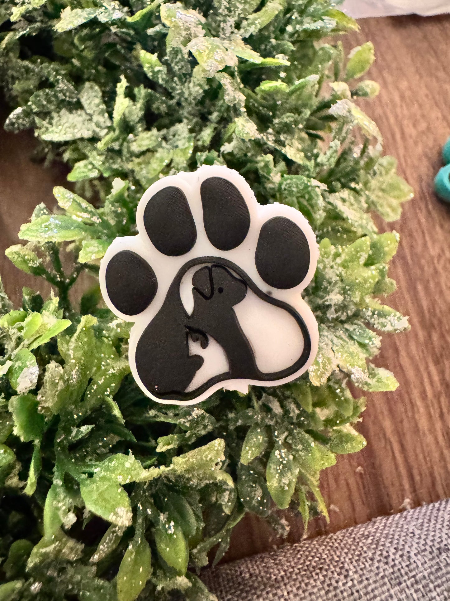 White Pet Paw Focal