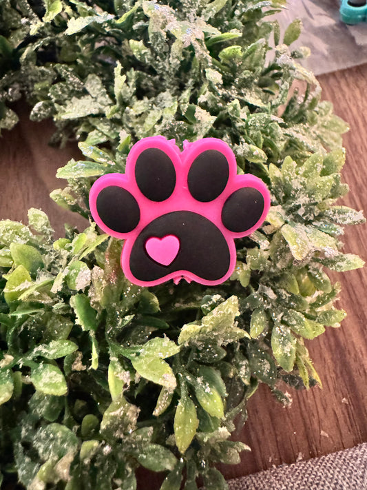 Pink Paw Focal