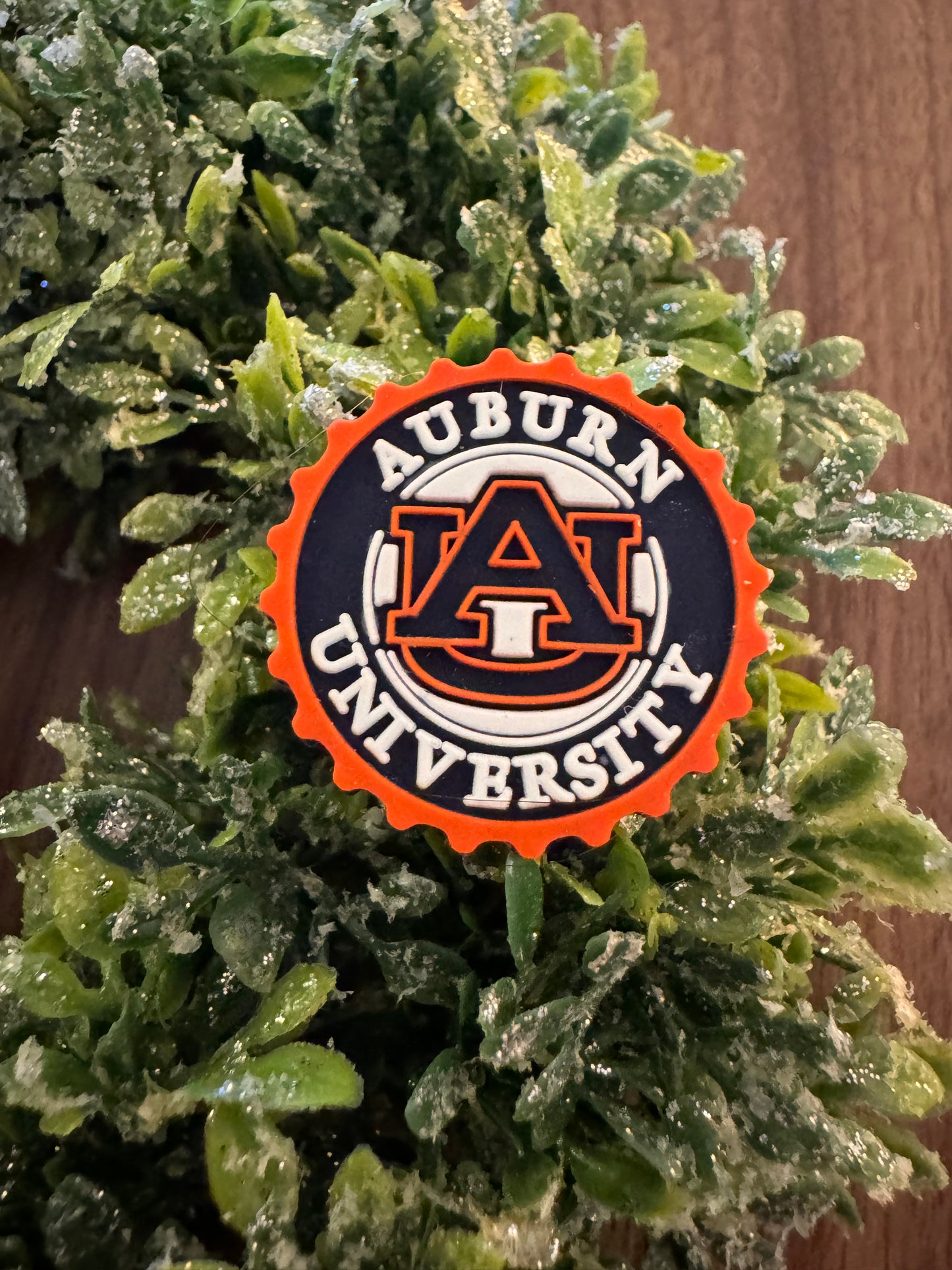 Auburn Uni Focal