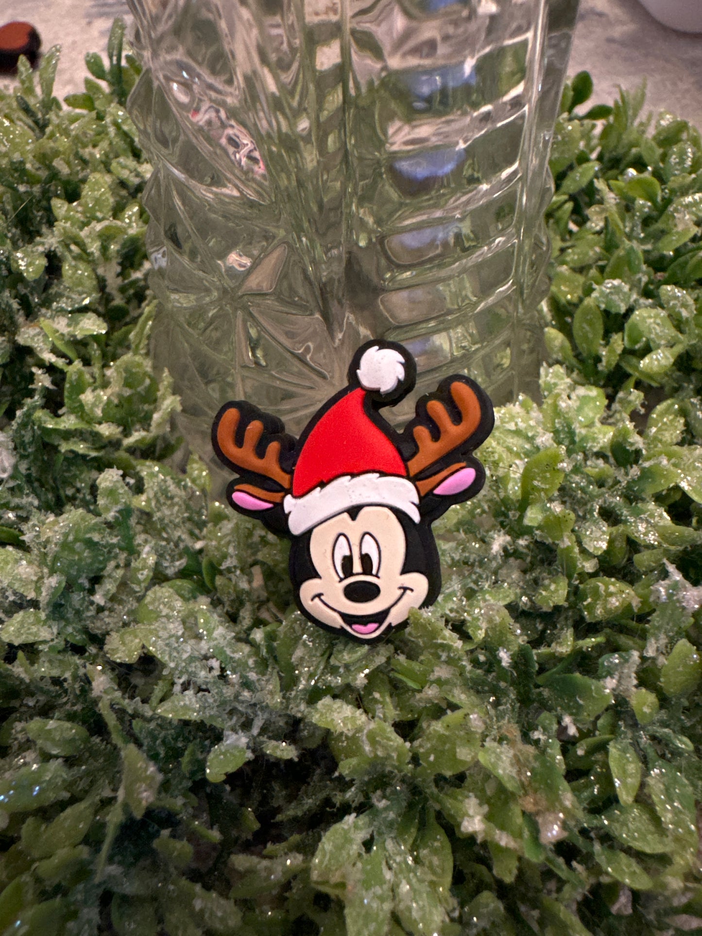 Reindeer Mickey Focal