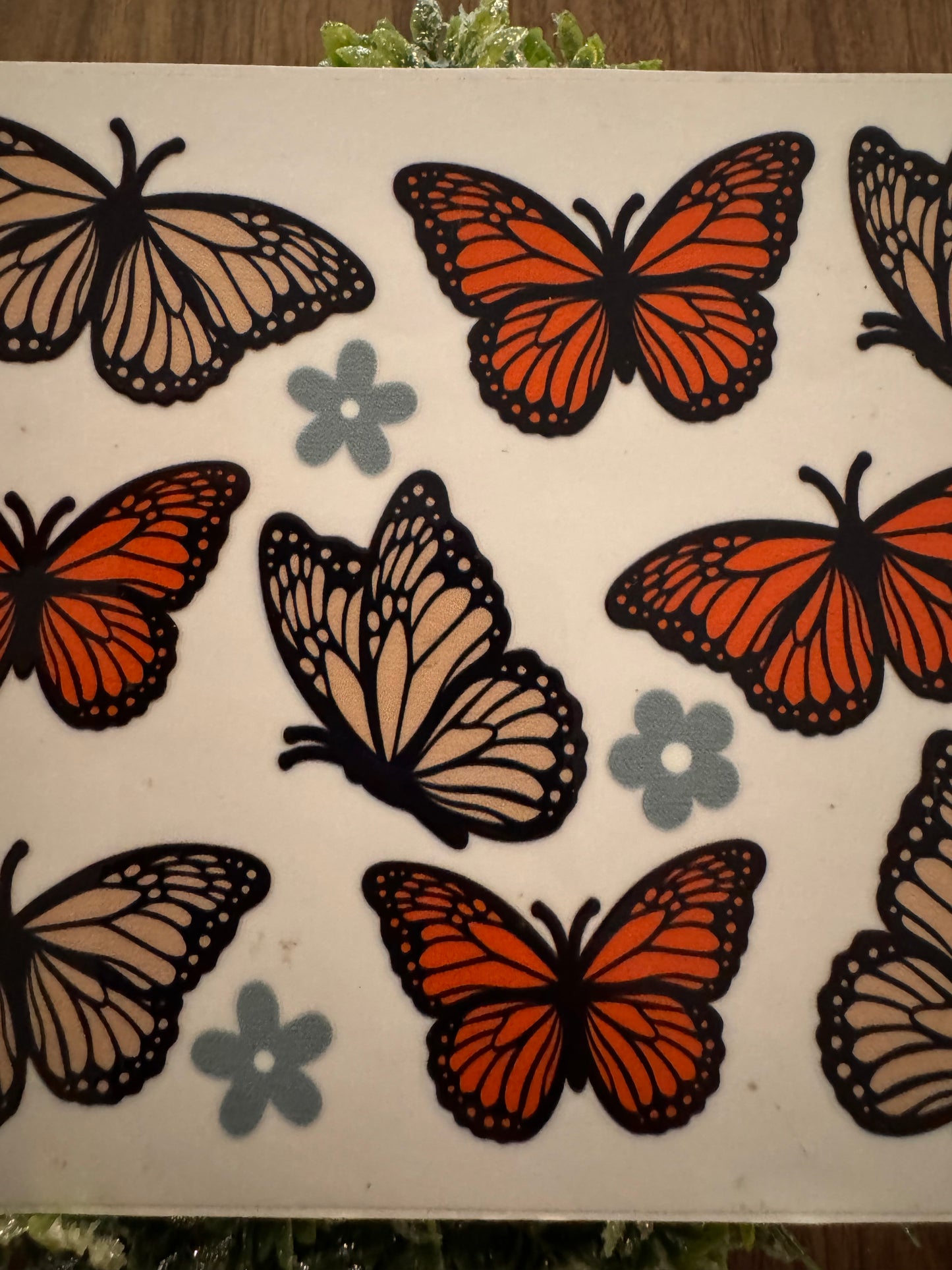 Monarch Butterfly Cup Wrap