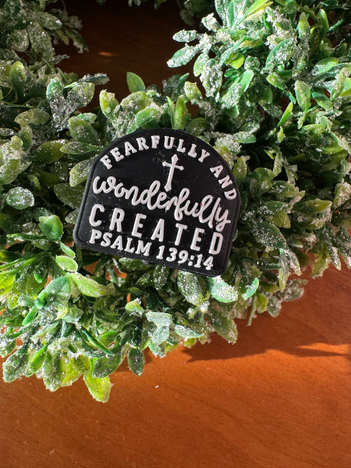 Wonderfully Created Focal