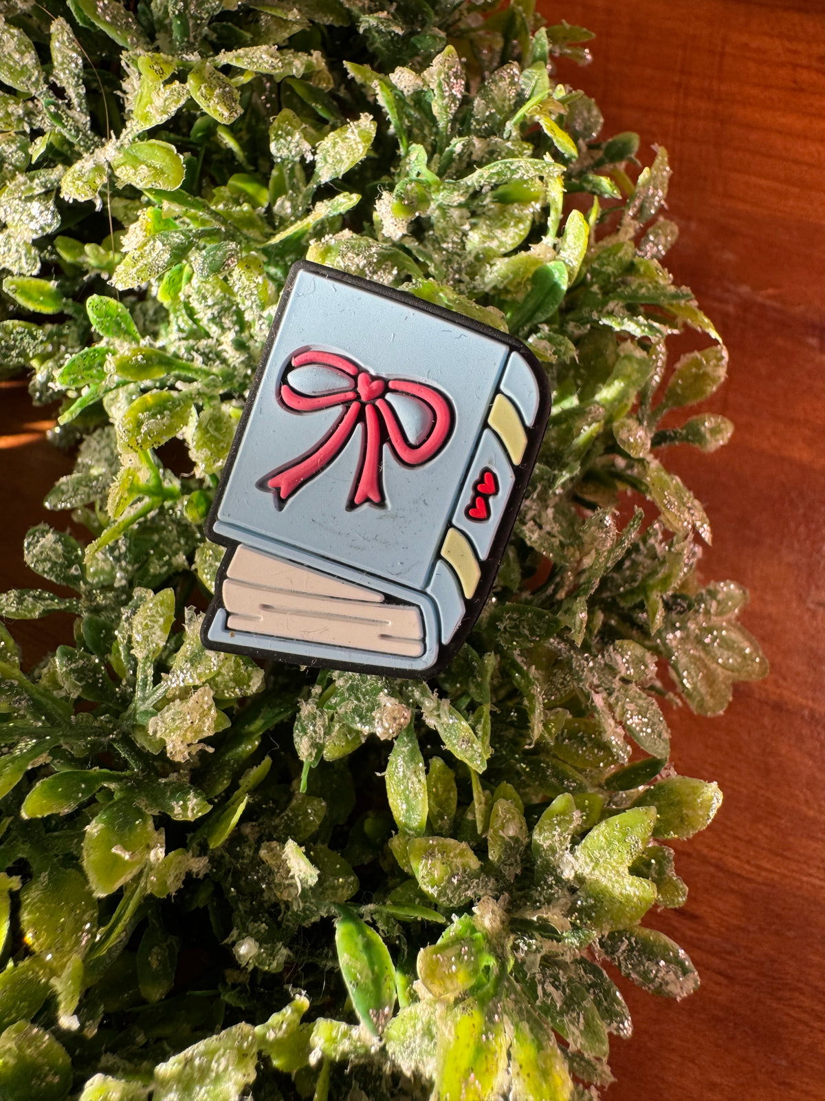 Cute Book Focal