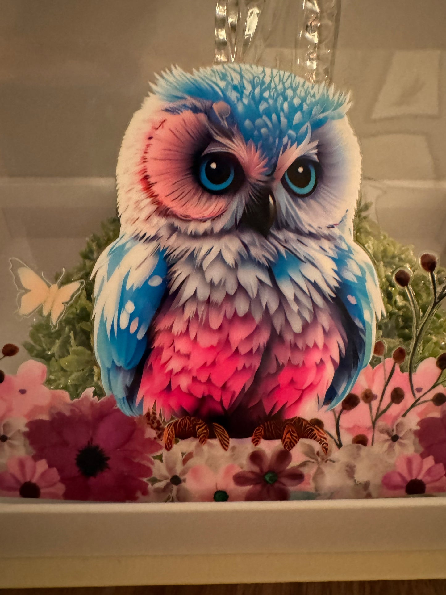 Colorful Owl Cup Wrap