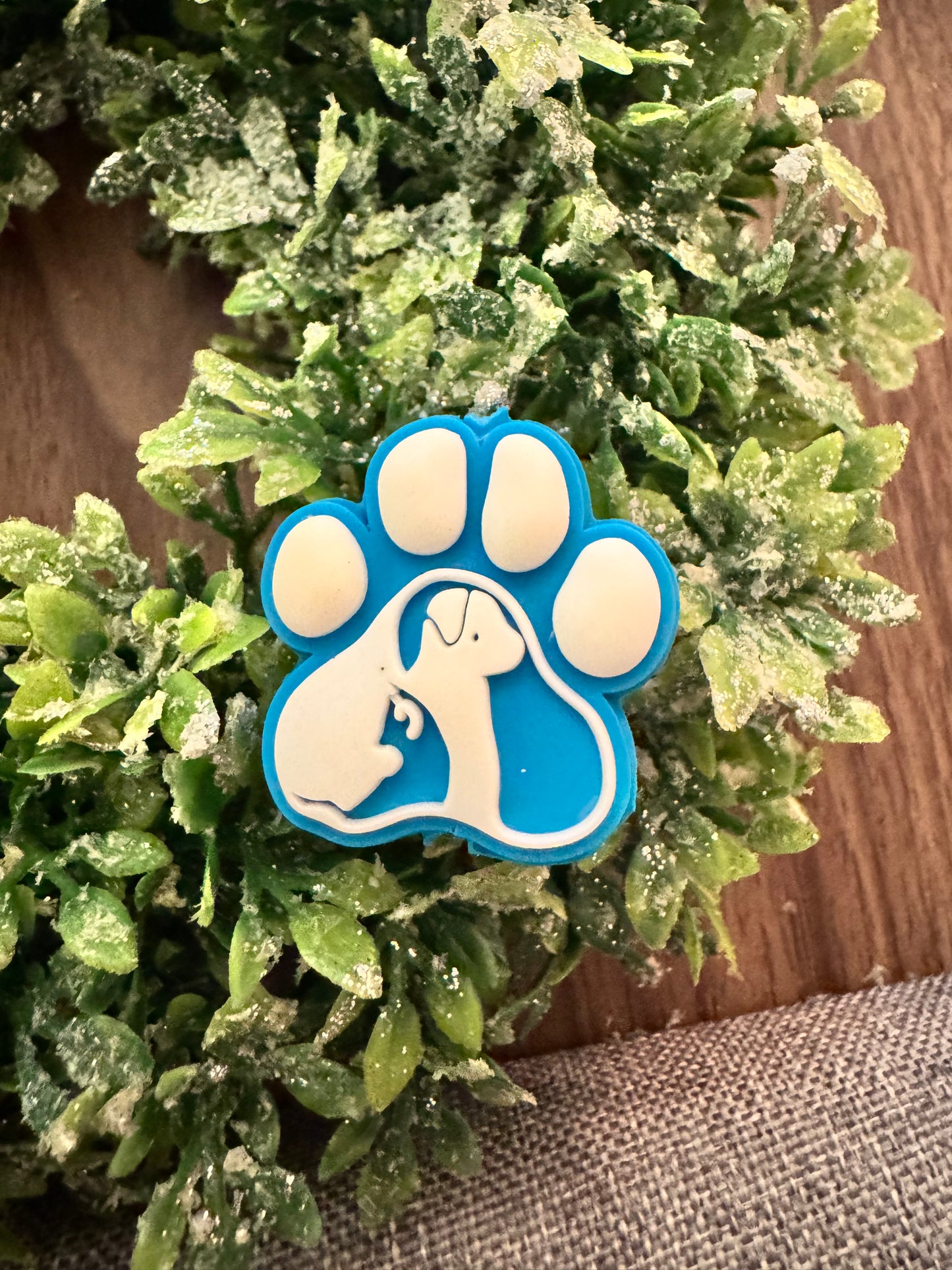 Blue Pet Paw Focal